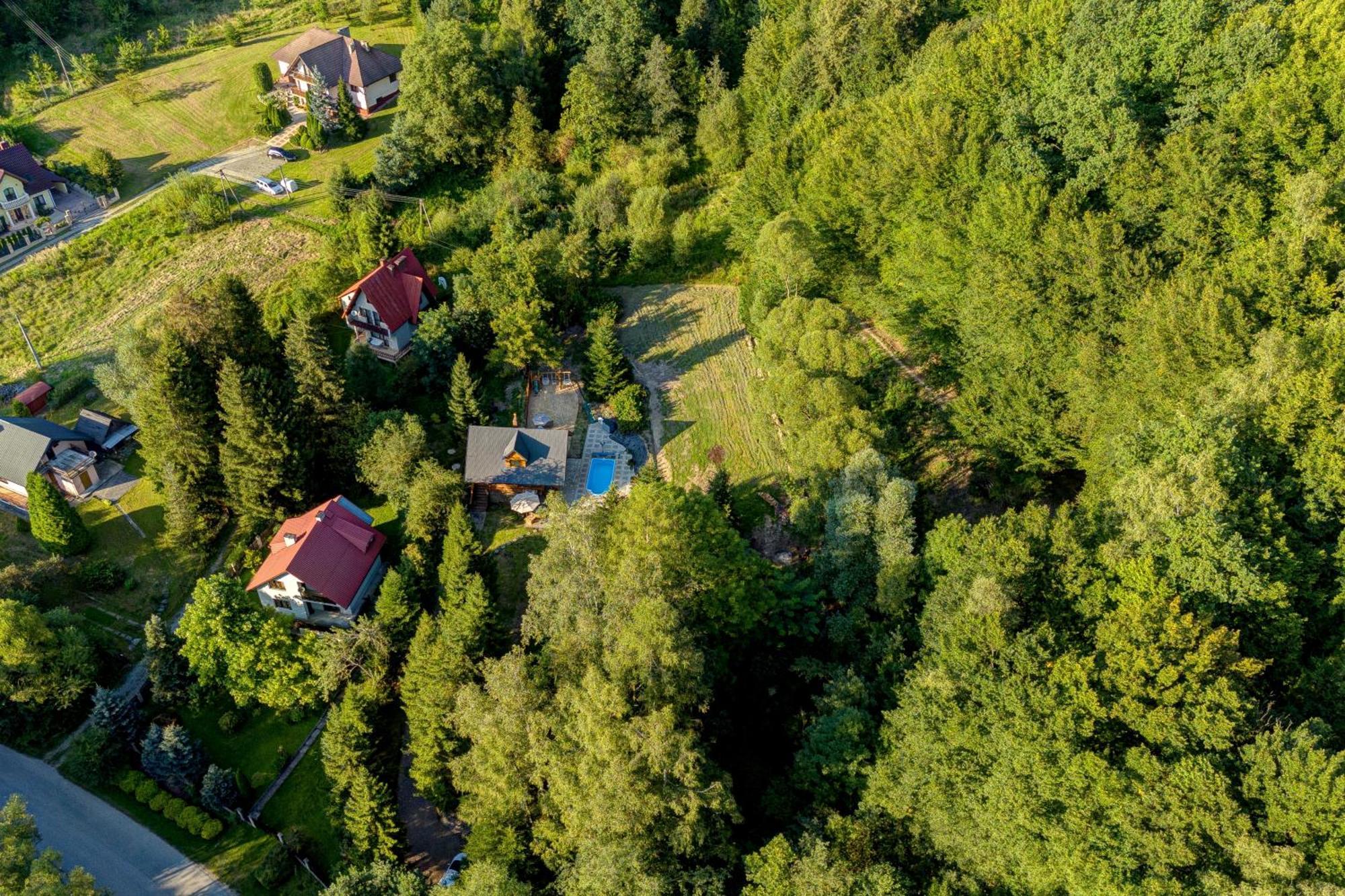 Polana Slowikowa 5 Star- Domek W Gorach Z Jacuzzi, Sauna,Basen,Ogrod Z Lasem, Kominek I Narty Stroza  Exterior photo